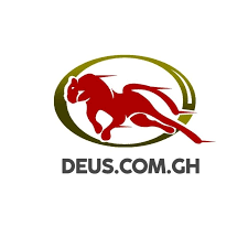 Deus Infinitum Ltd logo