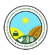 PROSPER PROJECT, MOFA logo